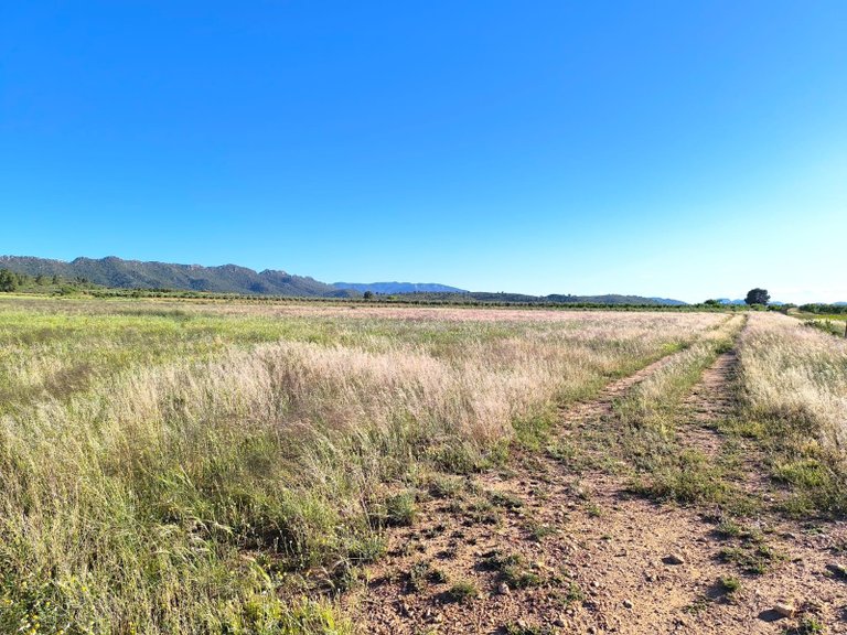 Country House for Sale in Yecla, Murcia 25