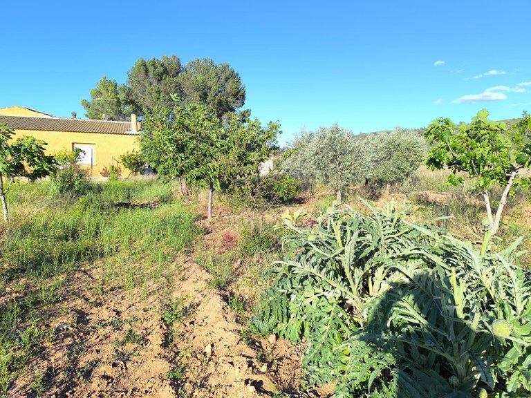 Country House for Sale in Yecla, Murcia 23