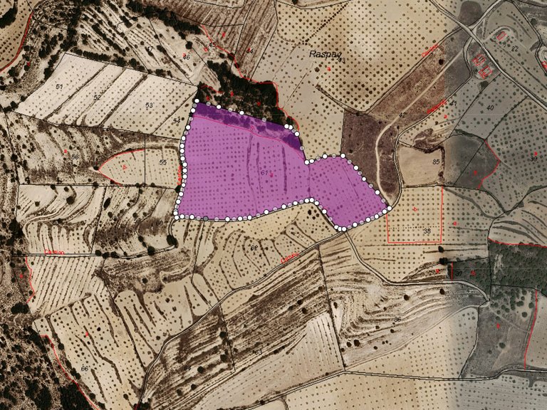 Plot for Sale in Raspay, Alicante 1