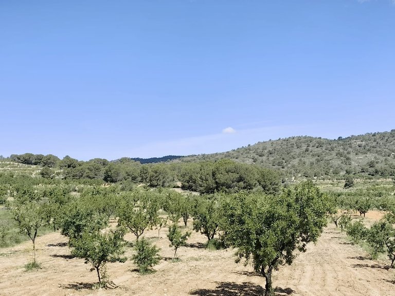 Plot for Sale in Raspay, Alicante 3