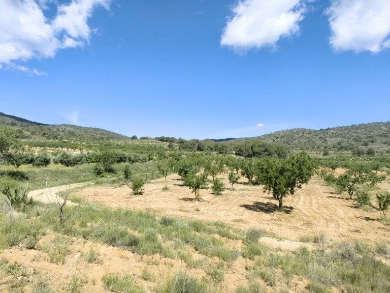 Plot for Sale in Raspay, Alicante 2