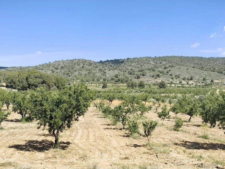 Plot for Sale in Raspay, Alicante 6