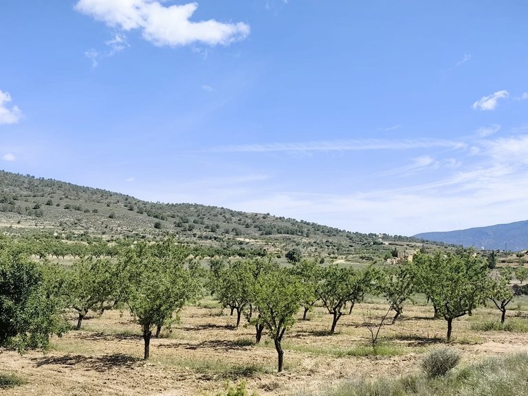 Plot for Sale in Raspay, Alicante 7