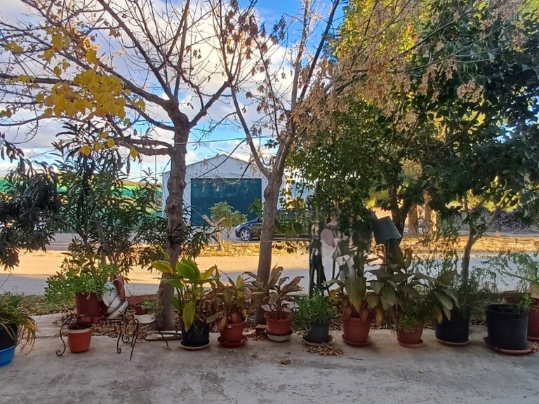Country House for Sale in Yecla, Murcia 4