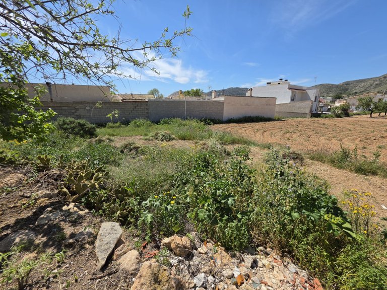 Town House for Sale in Hondón De Las Nieves, Alicante 34