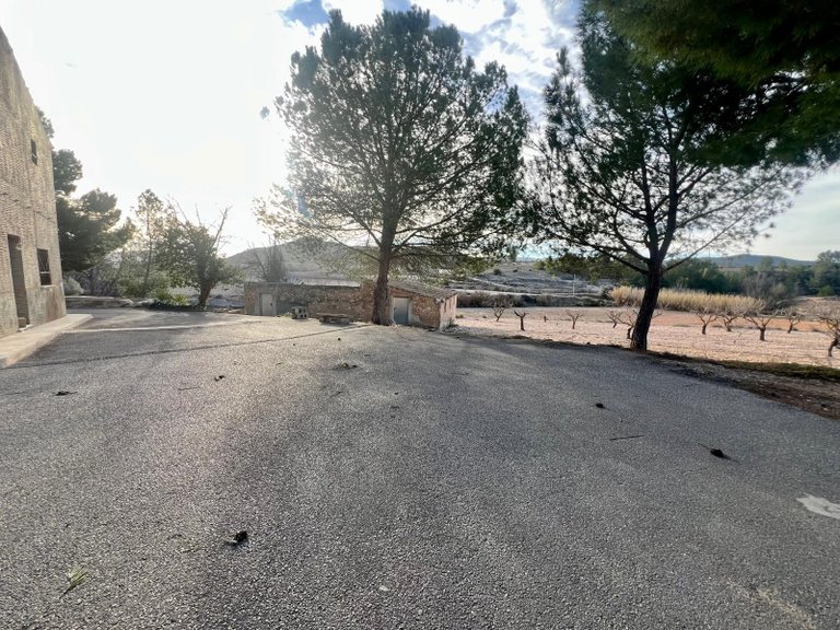 Country House for Sale in Monovar, Alicante 44