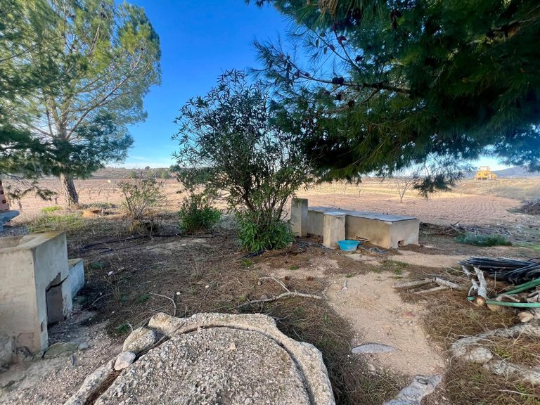 Country House for Sale in Monovar, Alicante 42