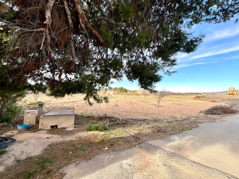 Country House for Sale in Monovar, Alicante 34