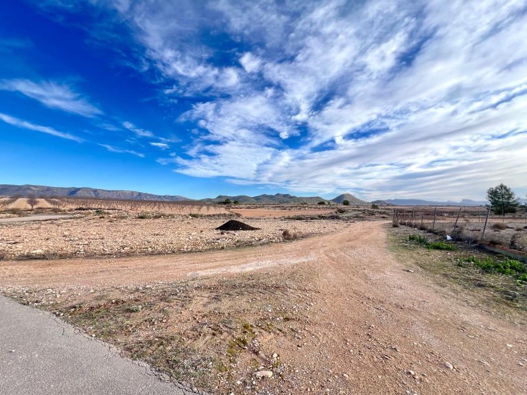 Country House for Sale in Monovar, Alicante 36