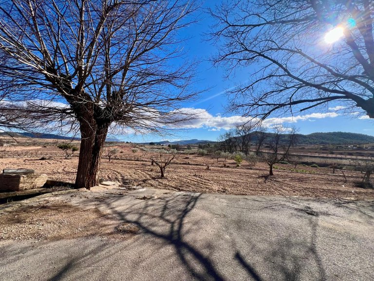 Country House for Sale in Monovar, Alicante 47