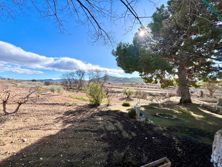 Country House for Sale in Monovar, Alicante 23
