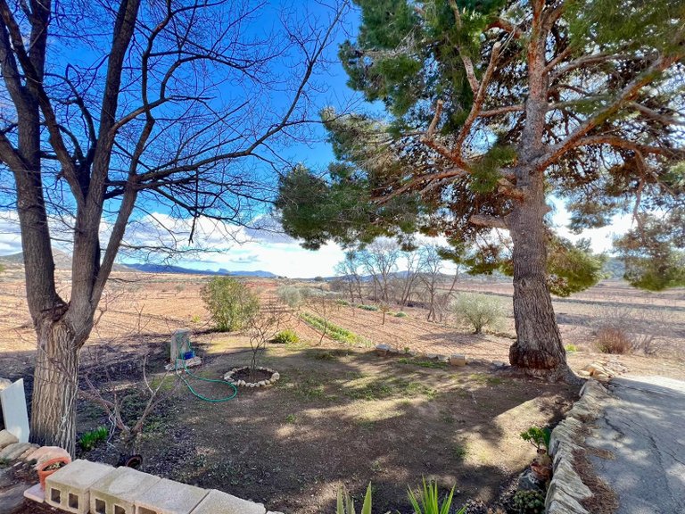 Country House for Sale in Monovar, Alicante 49