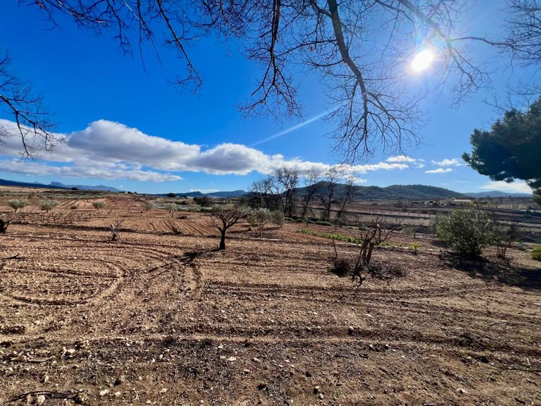 Country House for Sale in Monovar, Alicante 48