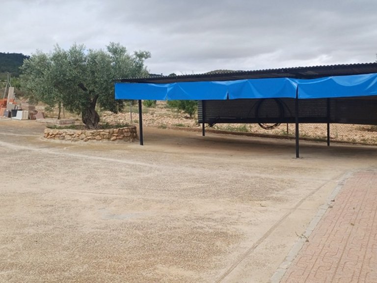 Country House for Sale in Yecla, Murcia 5