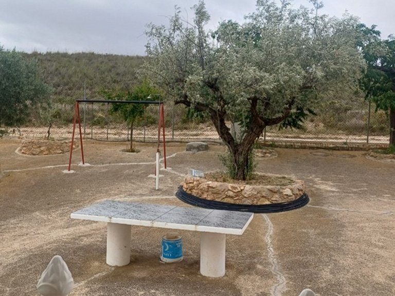 Country House for Sale in Yecla, Murcia 8