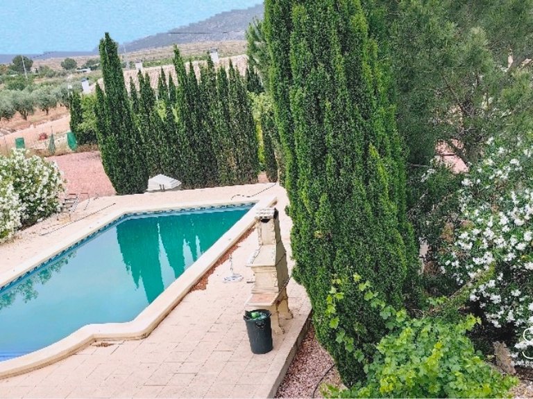 Villa for Sale in Pinoso, Alicante 14