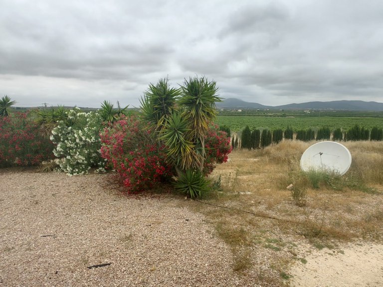Villa for Sale in Pinoso, Alicante 28