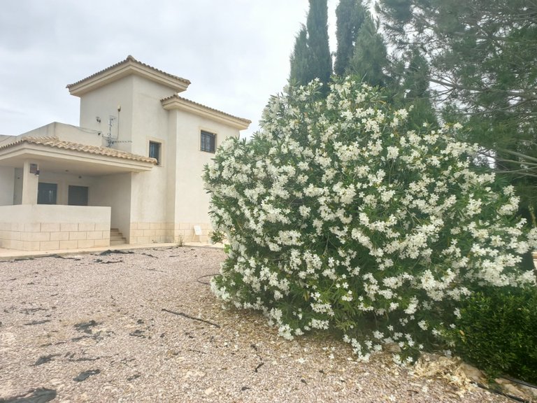Villa for Sale in Pinoso, Alicante 23