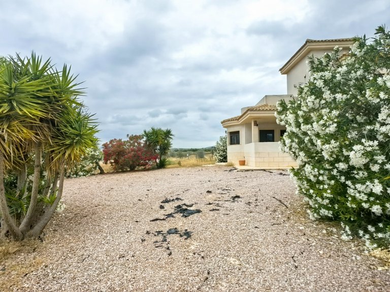 Villa for Sale in Pinoso, Alicante 22