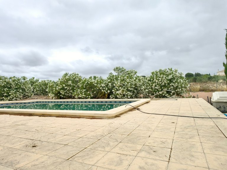 Villa for Sale in Pinoso, Alicante 21
