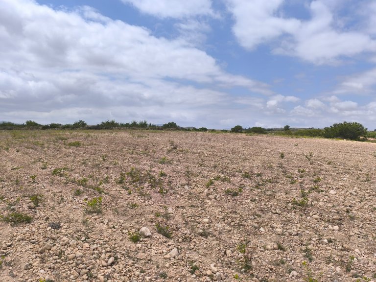 Plot for Sale in Pinoso, Alicante 5