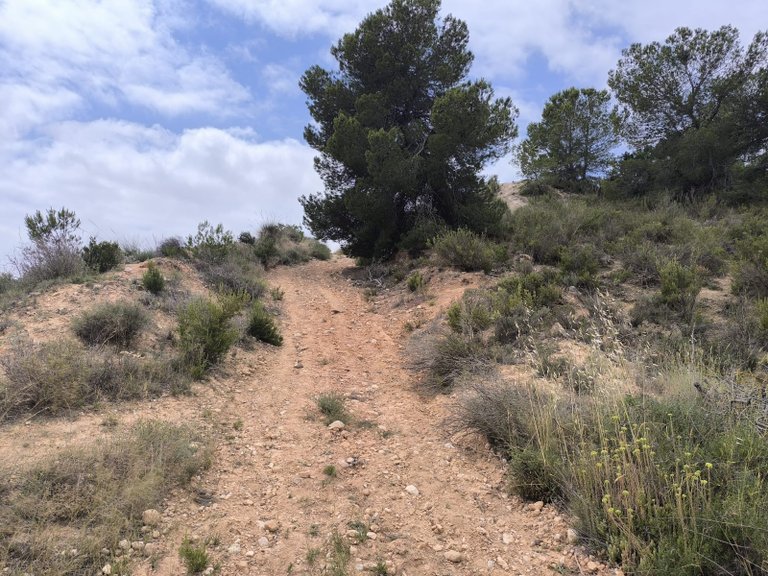 Plot for Sale in Pinoso, Alicante 4