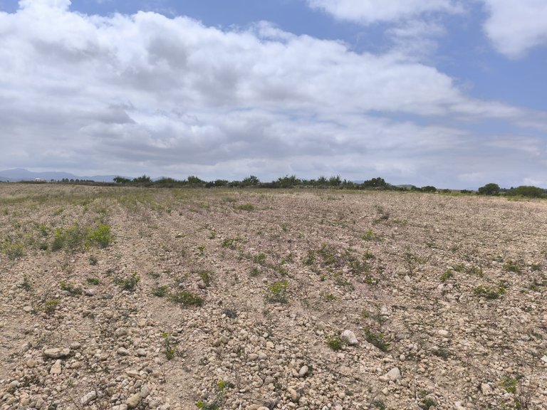 Plot for Sale in Pinoso, Alicante 7