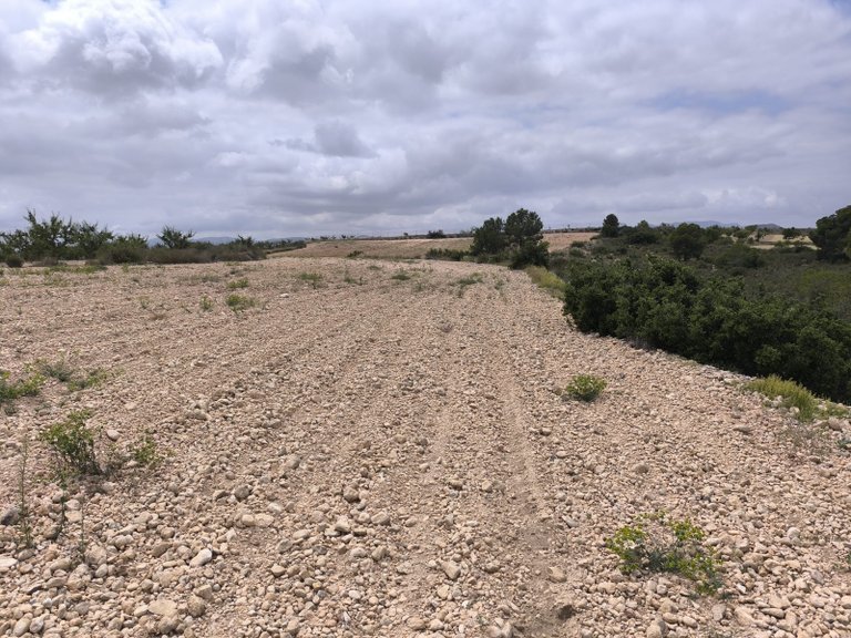 Plot for Sale in Pinoso, Alicante 13