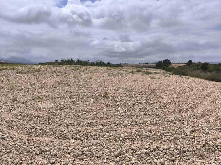 Plot for Sale in Pinoso, Alicante 8
