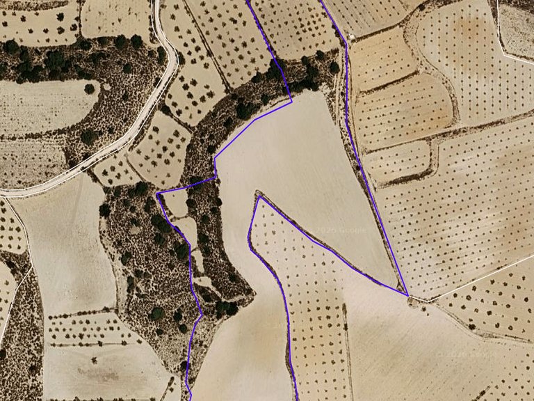 Plot for Sale in Pinoso, Alicante 2