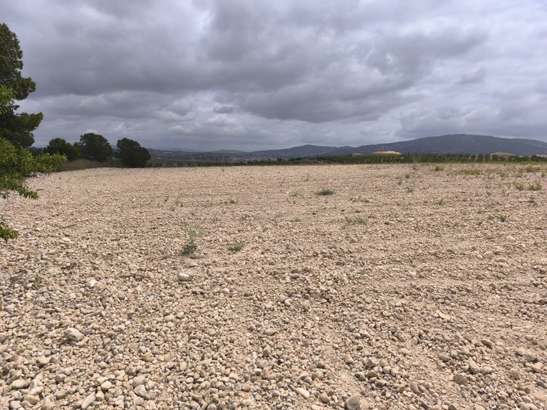 Plot for Sale in Pinoso, Alicante 10