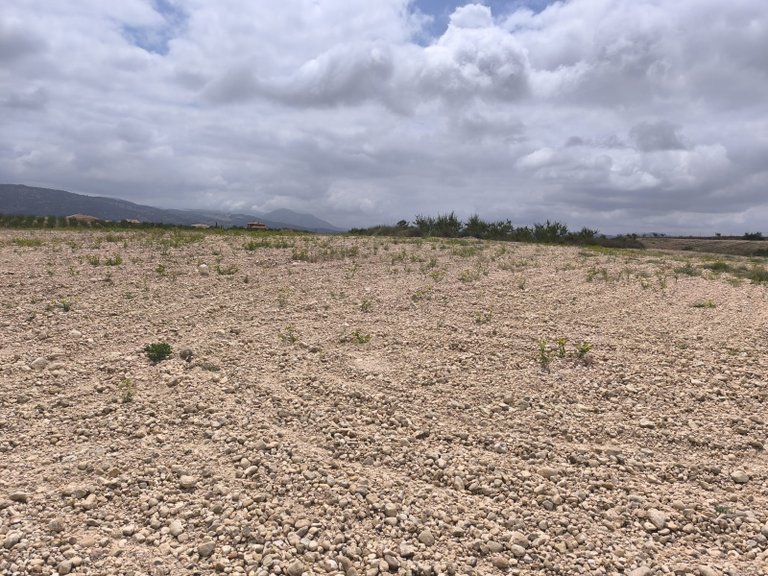 Plot for Sale in Pinoso, Alicante 14