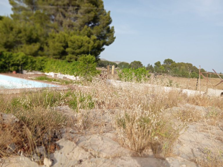 Villa for Sale in Yecla, Murcia 6