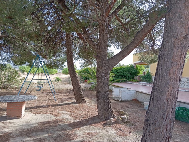Villa for Sale in Yecla, Murcia 2