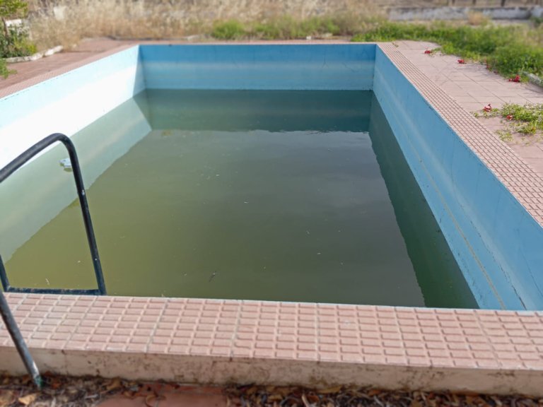 Villa for Sale in Yecla, Murcia 4