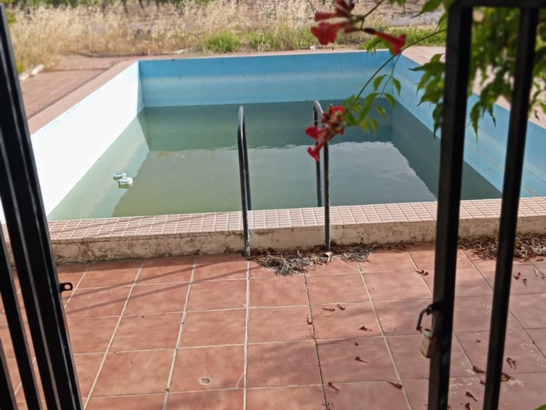 Villa for Sale in Yecla, Murcia 7