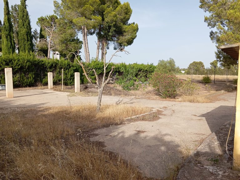 Villa for Sale in Yecla, Murcia 14