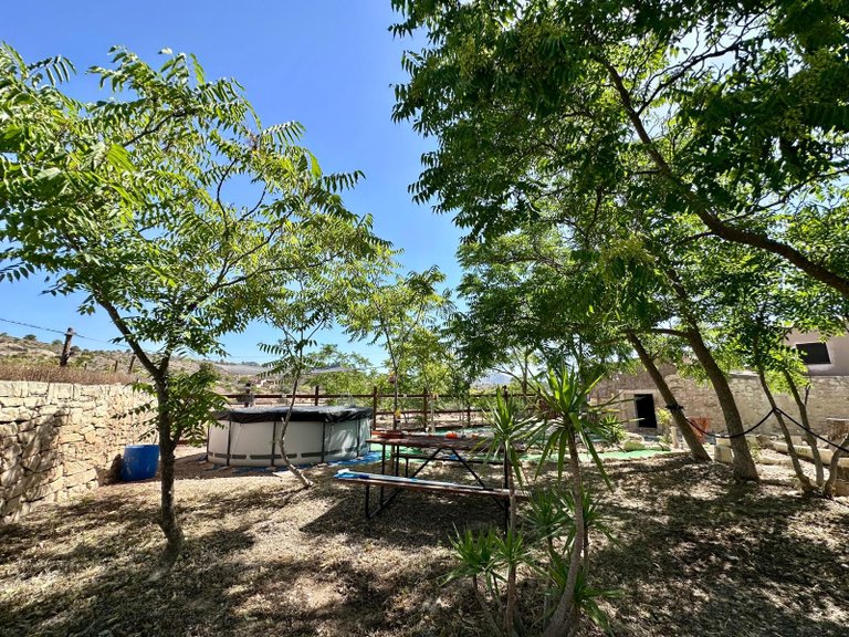 Country House for Sale in Monovar, Alicante 38