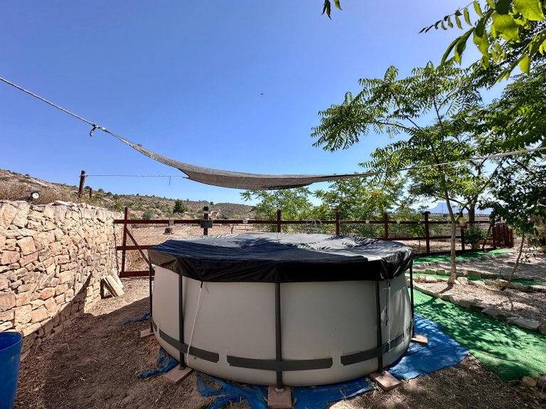 Country House for Sale in Monovar, Alicante 2