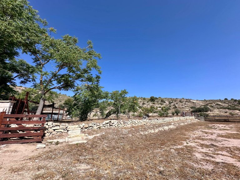 Country House for Sale in Monovar, Alicante 41