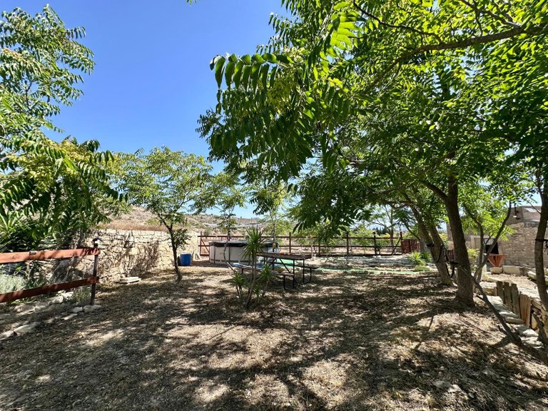 Country House for Sale in Monovar, Alicante 30