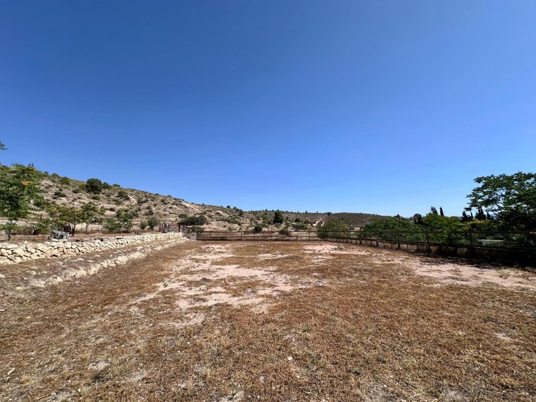 Country House for Sale in Monovar, Alicante 29