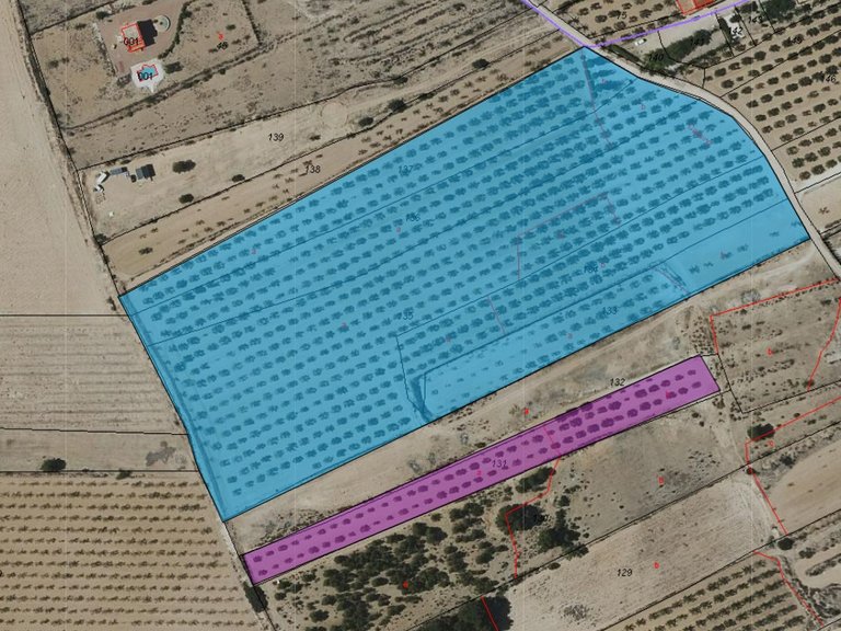 Plot for Sale in Monovar, Alicante 11