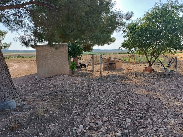 Country House for Sale in Yecla, Murcia 15