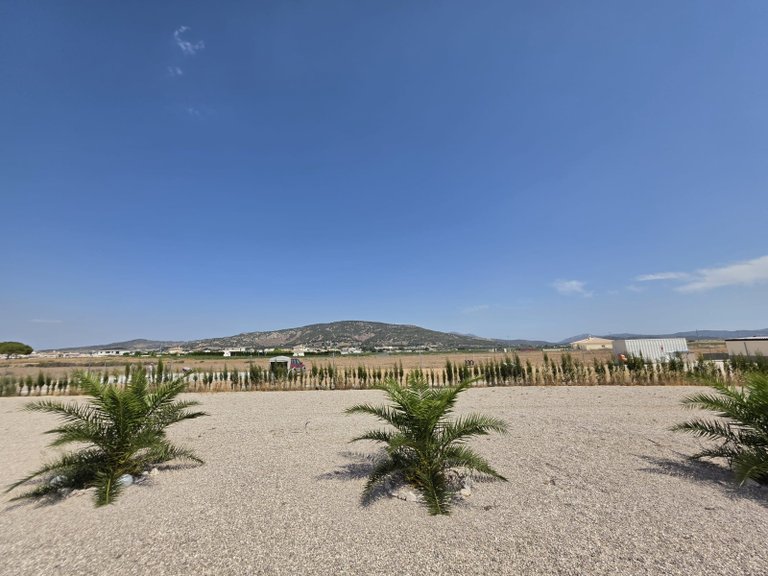 Villa for Sale in Pinoso, Alicante 34