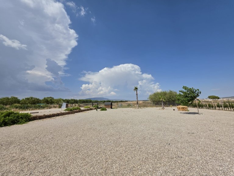 Villa for Sale in Pinoso, Alicante 35