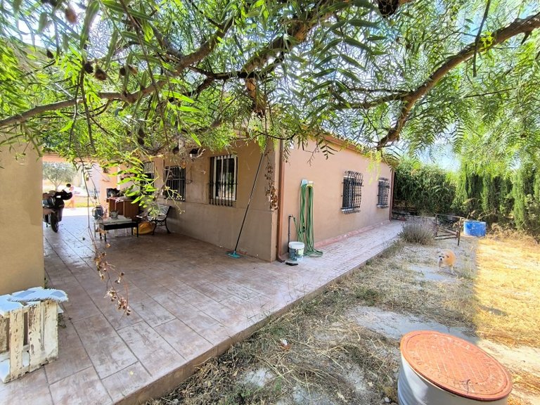 Country House for Sale in Caudete, Albacete 2