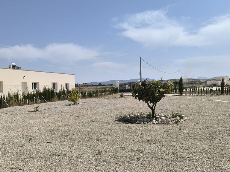Villa for Sale in Pinoso, Alicante 44