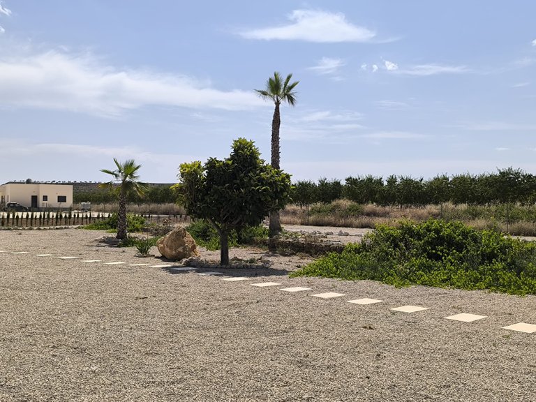 Villa for Sale in Pinoso, Alicante 42