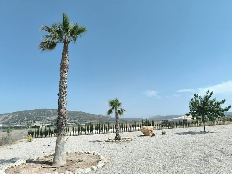 Villa for Sale in Pinoso, Alicante 45